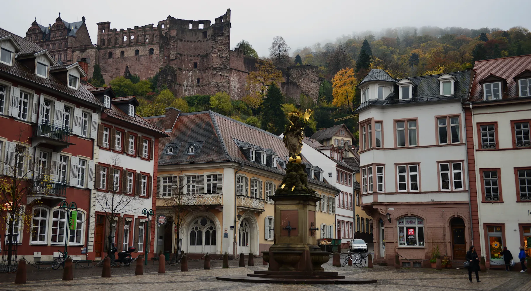 /DSC_1646.webp /DSC_1646.webp