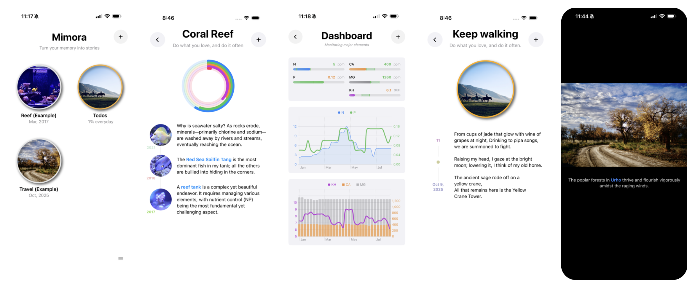 /mimora.png /mimora.png