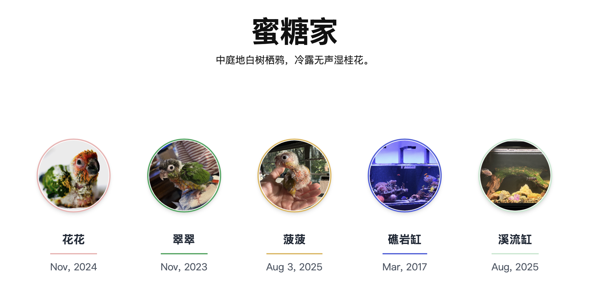 /reefing.home.png /reefing.home.png